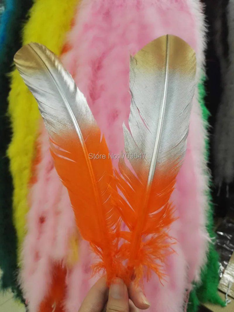 FMT0033 (3)