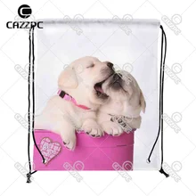 Милый Валентин щенки Pet в розовый контейнер с Сердце печати пользовательские нейлоновая ткань drawstring рюкзак, мешок для подарков набор из 4