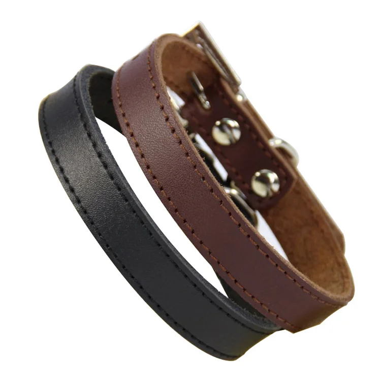 pet dog collar