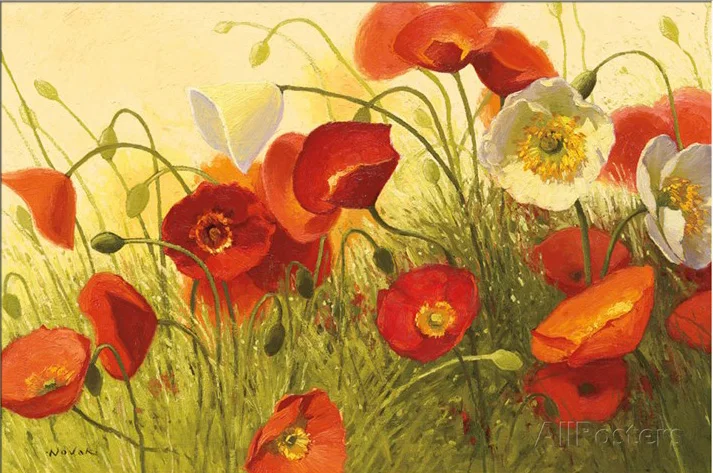 

Wall painting flowers Havin a Heat Wave modern art oil on canvas home decor handmade High quality