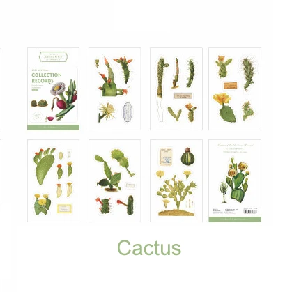 Цветок растение дневник наклейки гриб клубника скрапбукинг корейский милый японский наклейки из бумаги васи Ablum журнал наклейки бумаги - Цвет: Cactus