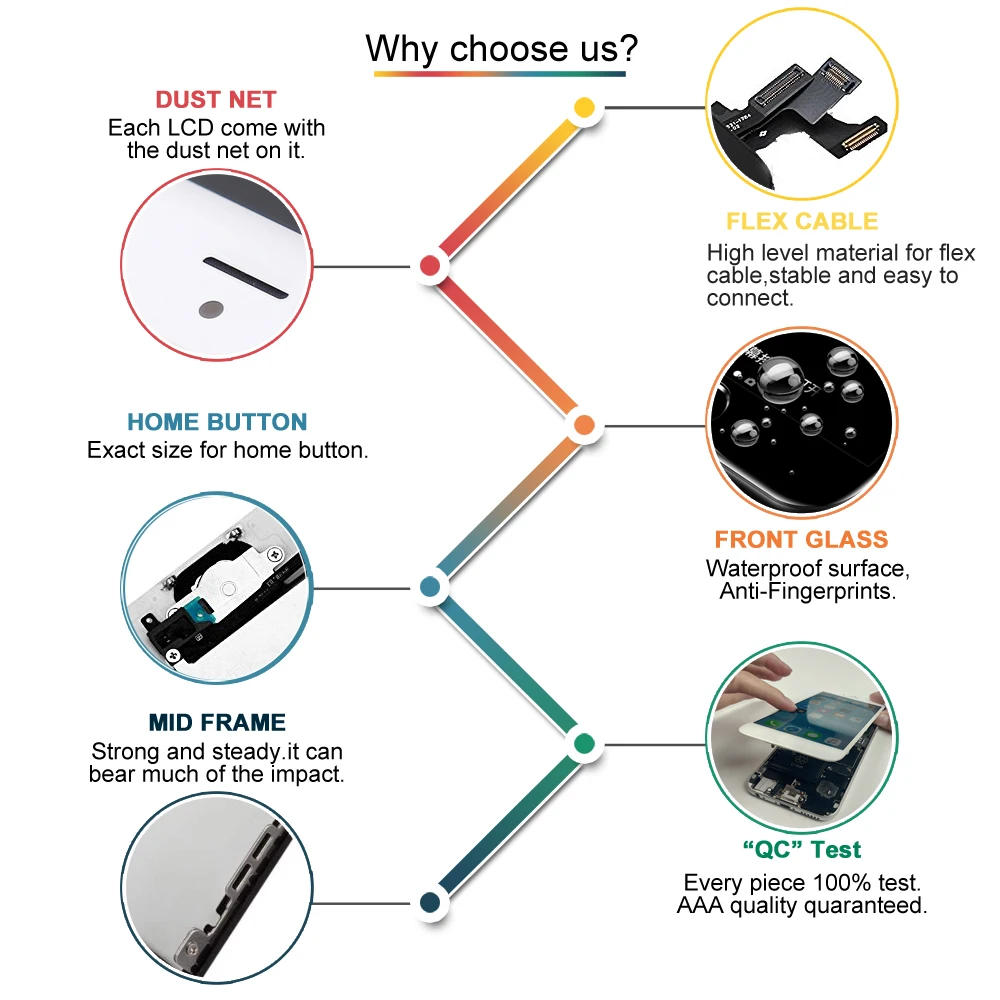 why-choose-us