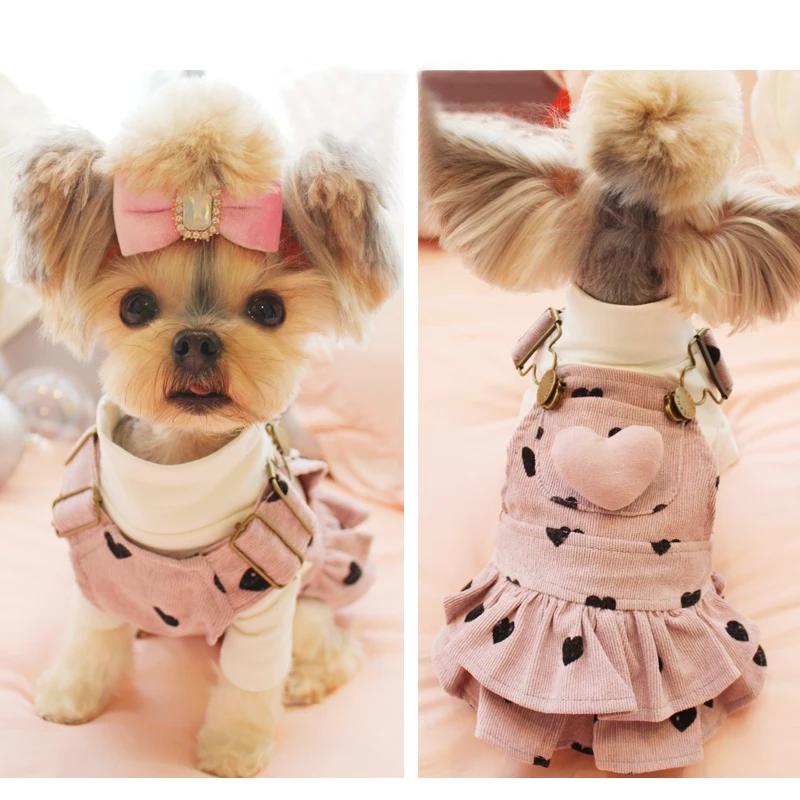 Buy OnnPnnQ Fashion Dog Clothes Autumn Pet Puppy