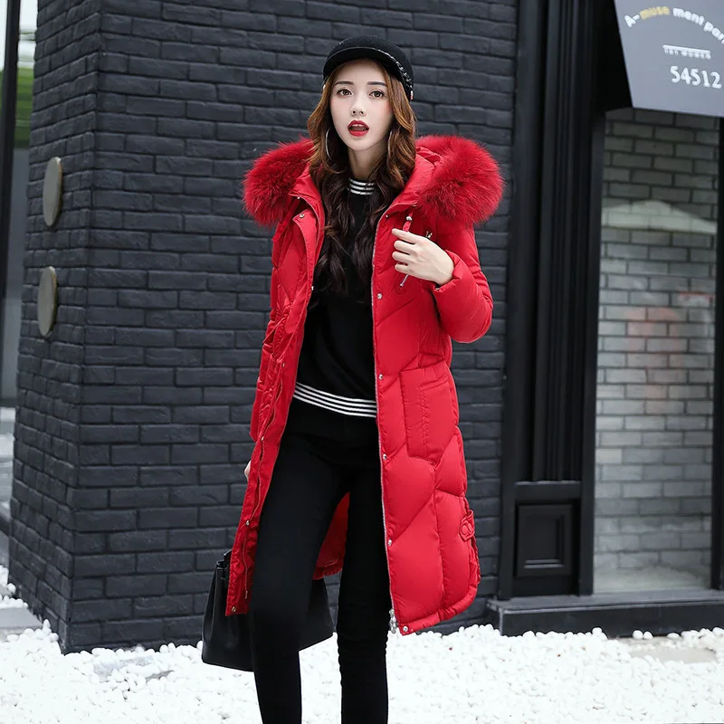 Mode 2018 À Fermeture pink Temps Black Vêtements Vente Pleine red green Limitée Fonds Dans Le De Polyester D'urgence Colour gray Coton Mince Transporté Flocage Longue Glissière ffrx5Uwq