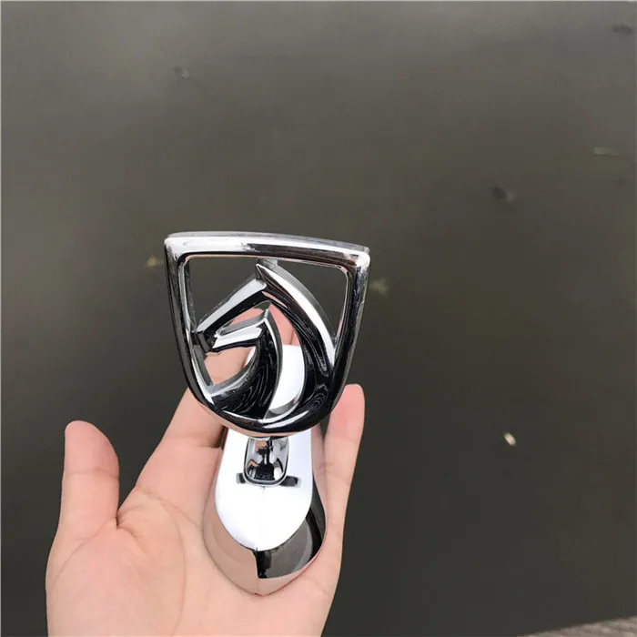 IMG_0300
