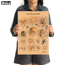 Винтажный крафт-бумажный плакат, Настенная Наклейка с изображением костей человека, домашний декор, 42x30 см