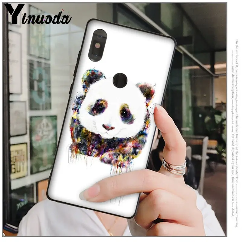 cute panda
