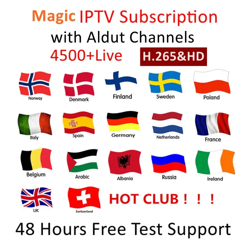 

iptv Italia IPTV Subscription France Italy Netherlands Arabic Belgium Spain Sweden Portugal USA smart IPTV M3U for G1 G3 TV Box