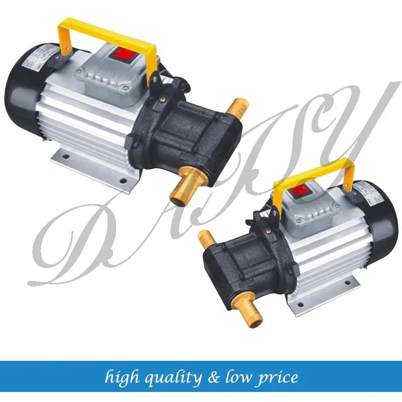 1100w Diesel Fuel or Biodiesel Gear Oil Pump 220v50hz YTB-G65 1100w Diesel Fuel or Biodiesel Gear Oil Pump 220v50hz YTB-G65
