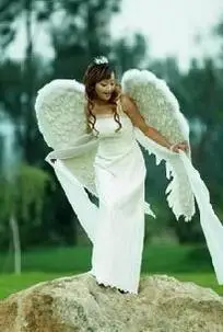 

nice fashion show/model catwalk stage performance show popular and fashion 100%high quality dalicate feather angel wing