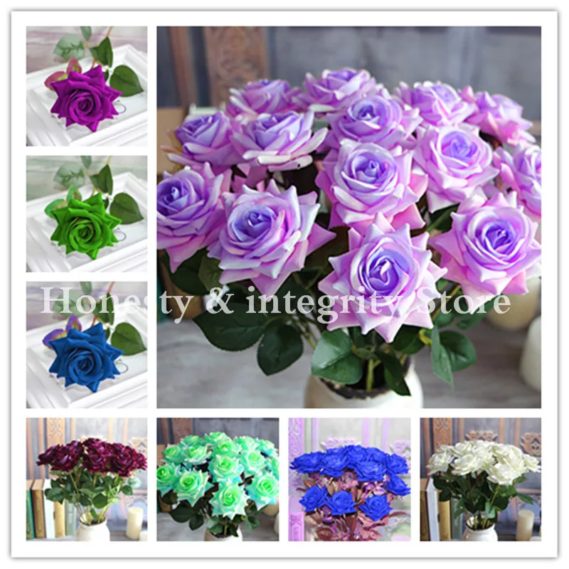 

Rare Chinese Rose Bonsai Perennial Flowers Home Decoration 100Pcs Fence Shed Roses Flower Bonsai De Plantas De Flores For Sale