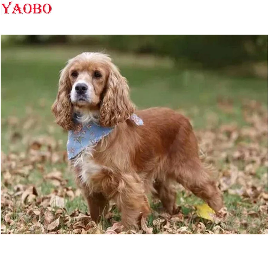 5D DIY Diamond Painting British cocker spaniel 3D Full Square/Round resin Embroidery Cross Stitch mosaic decor painting | Дом и сад