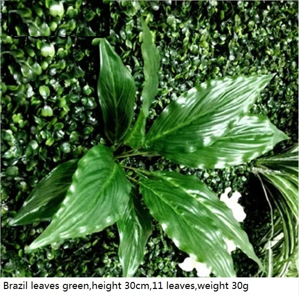 Brazil leaves green