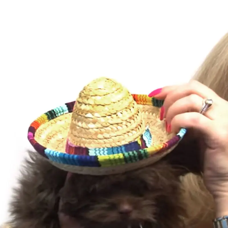 Летняя соломенная плетеная солнцезащитная Кепка Sombrero с широкими полями радужной расцветки, пляжная кепка, аксессуар для затенения собак и кошек