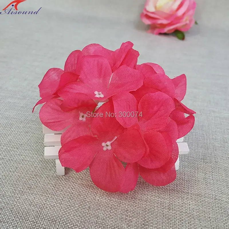Fuchsia flowers