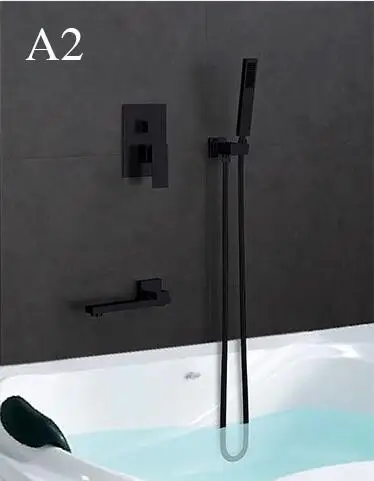 A2
