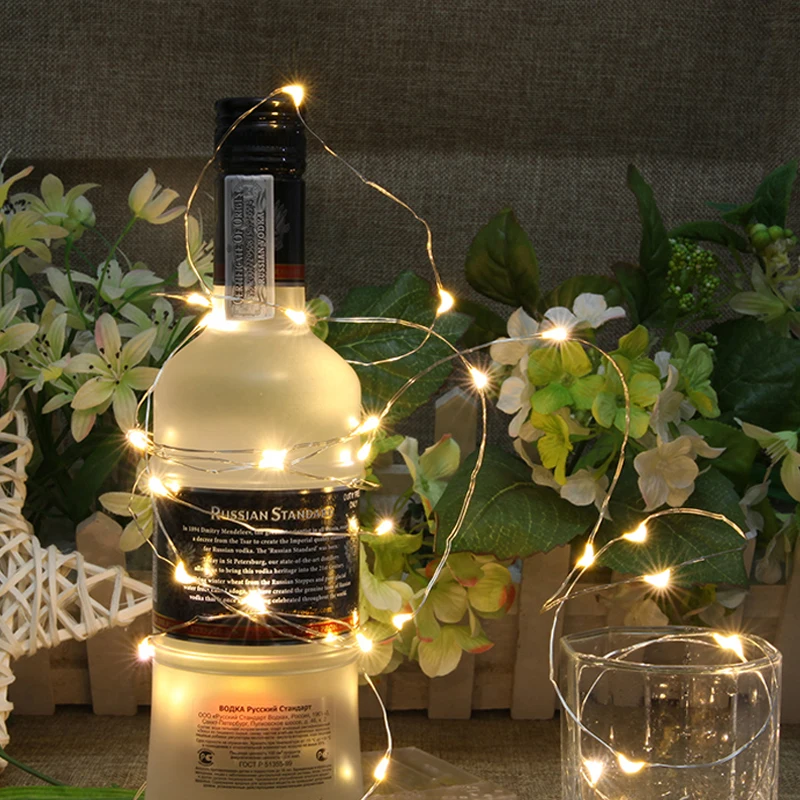Copper Wire String Light 001 (1)