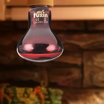 

B22 Pet Reptile Heating Bulb red Thermal Light Pet Brooder Lamp Night Light For Reptile and Amphibian