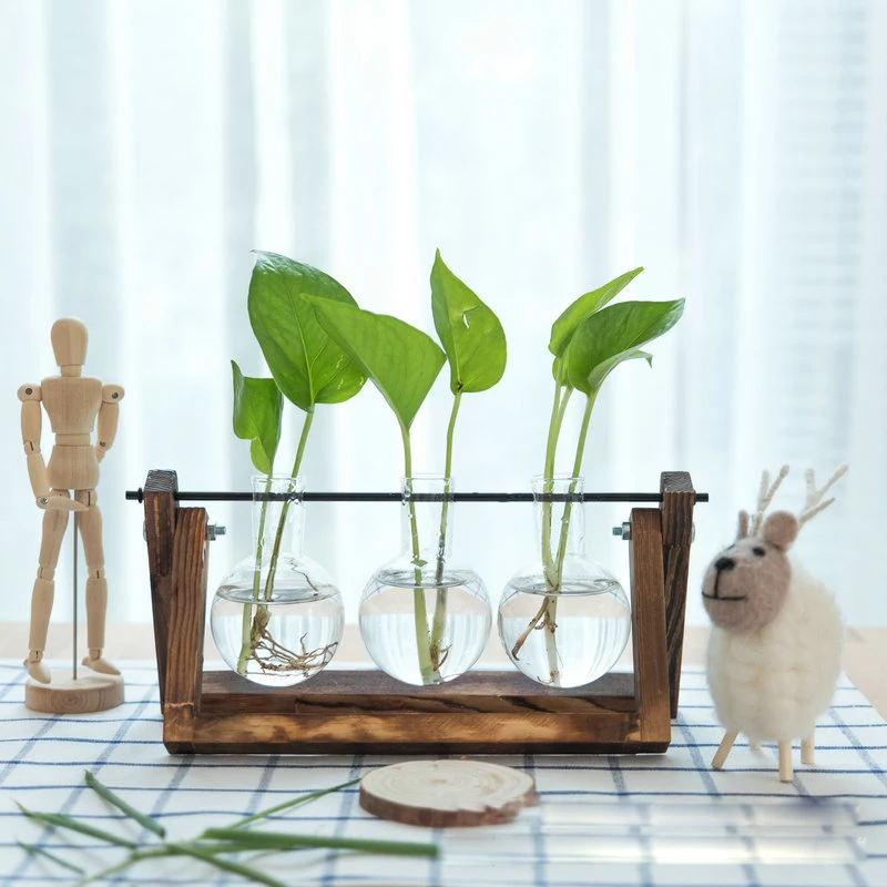 Glass and Wood Vase Hanging Flower Pots Planter Terrarium Table Desktop Hydroponics Plant Bonsai Pot Wooden Tray Dropshipping