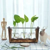 Garden Supplies