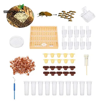 

Complete Bee Queen Rearing Cup Kit System, Bee Beekeeping Catcher Box Catcher Cage Bee Keeper Tools Apiculture Box Set