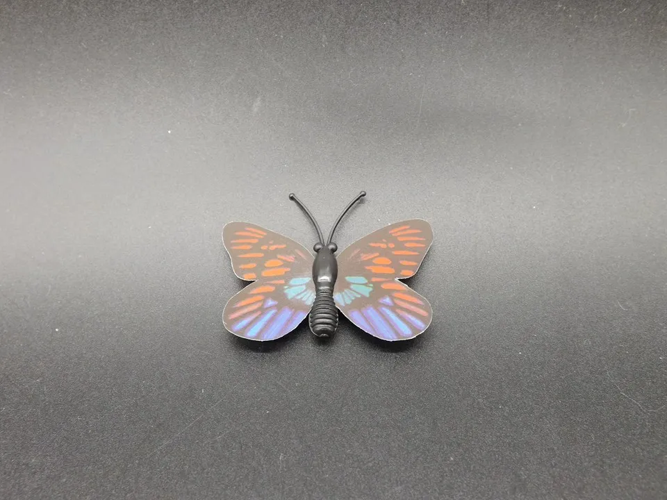 I246-Butterfly (6)