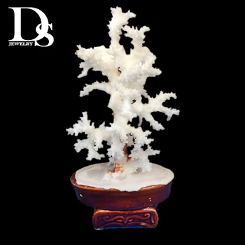 

Natural Coral Tree Sea White Coralline Plant Antipathes Flowerpot Aquatic Animal Landscaping Home Furnishing Ornaments