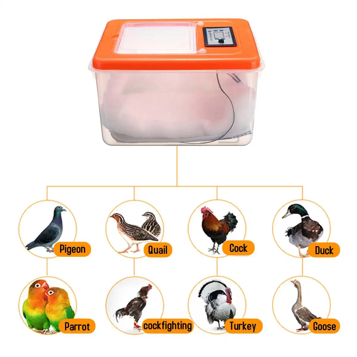 40pcs Egg Incubator Digital Automatic Cock Poultry Hatcher Temperature Control Foam + Plactic Good Insulation Performance 40pcs Egg Incubator Digital Automatic Cock Poultry Hatcher Temperature Control Foam + Plactic Good Insulation Performance