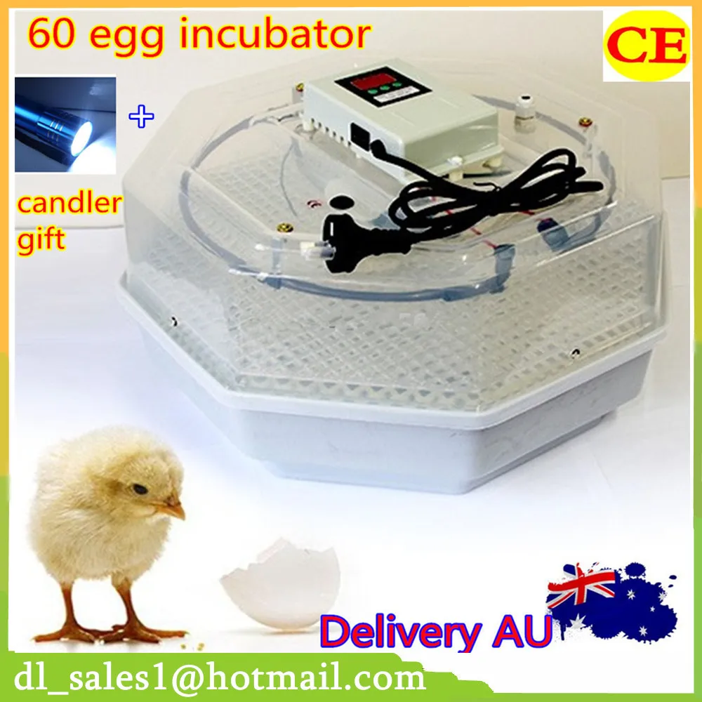 Best Price Incubator 60 Eggs 110V / 220V Egg Incubator ...