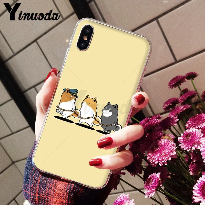 Animal Shiba Inu