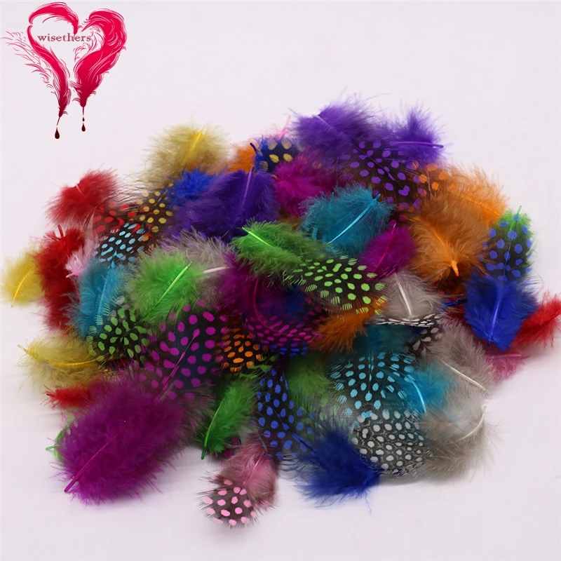 11 multicolor guinea fowl feather 4
