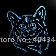 LB983-новая световая витрина для домашних животных