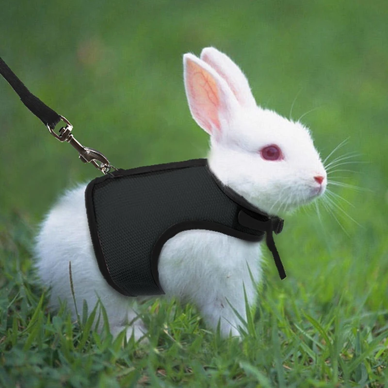 

Hot Rabbits Hamster Vest Harness With Leash Bunny Mesh Chest Strap Harnesses Ferret Guinea Pet Pig Small Animals Accessories