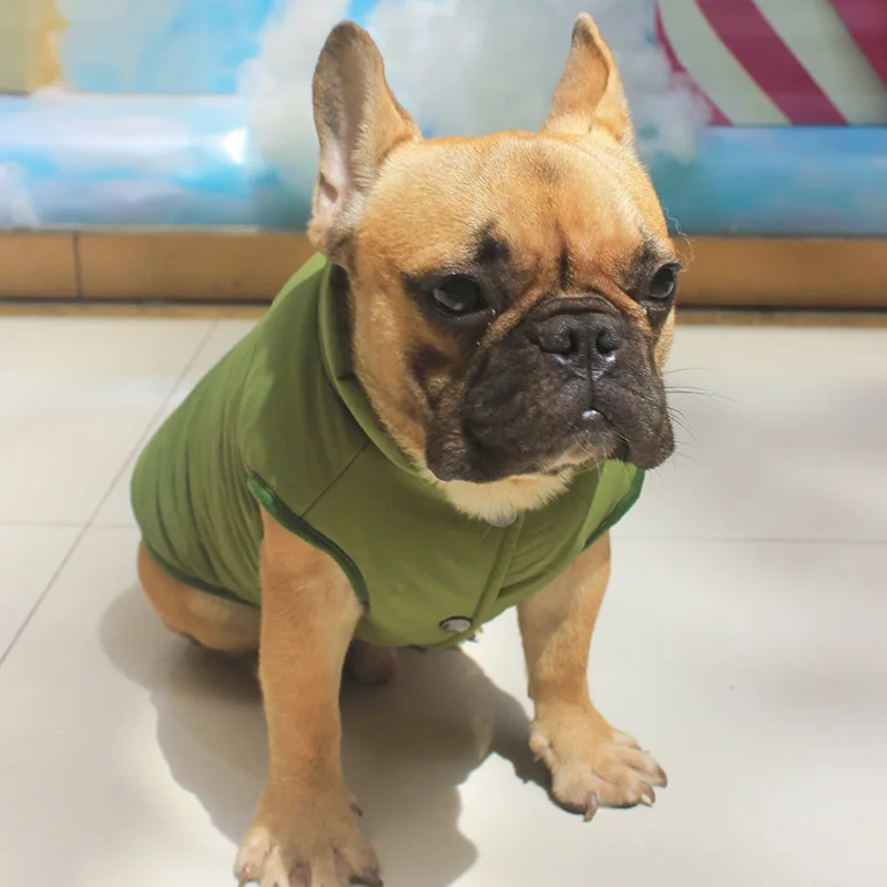 Bigeyedog Dog Clothes Winter Coat Jacket Poodle Pug French