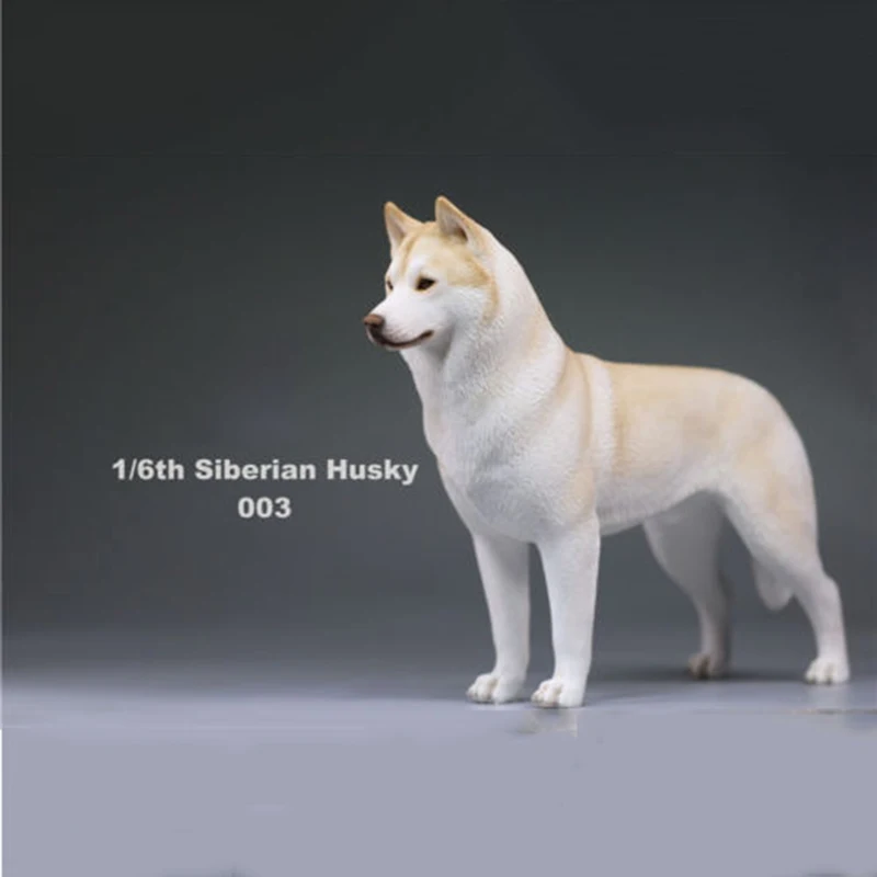 6 цветов, аксессуары для 1:6, Siberian Husky Simulation animals, фигурка для шестилетней собаки, модель игрушки для 12 дюймов, фигурка