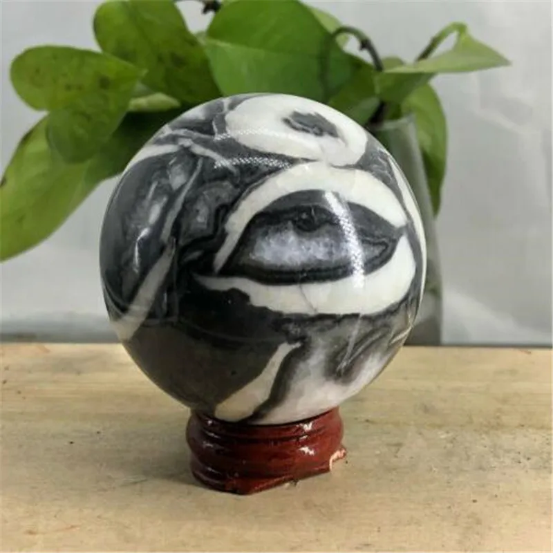 

60-65mm Natural Black&White Shell Fossil Crystal Sphere Ball
