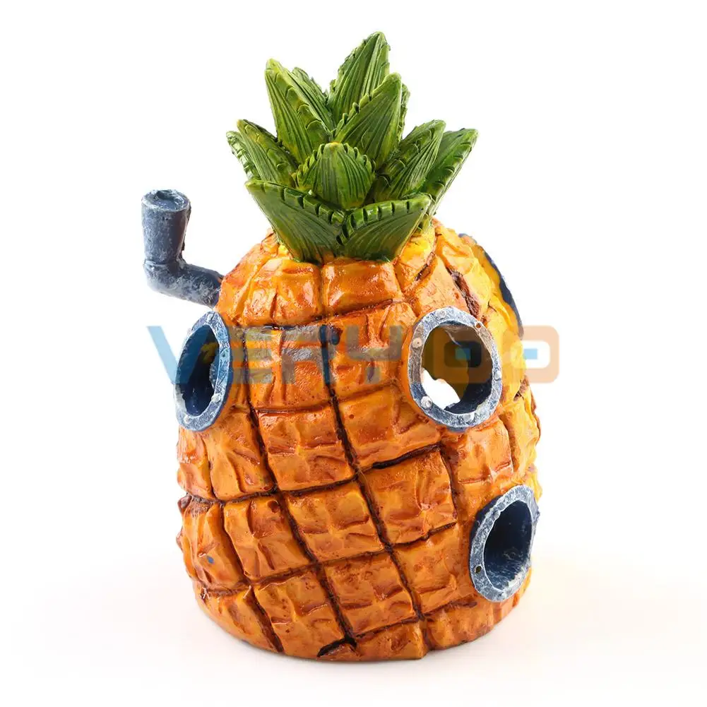 Evde büyüyen ananas Evde büyüyen ananas
