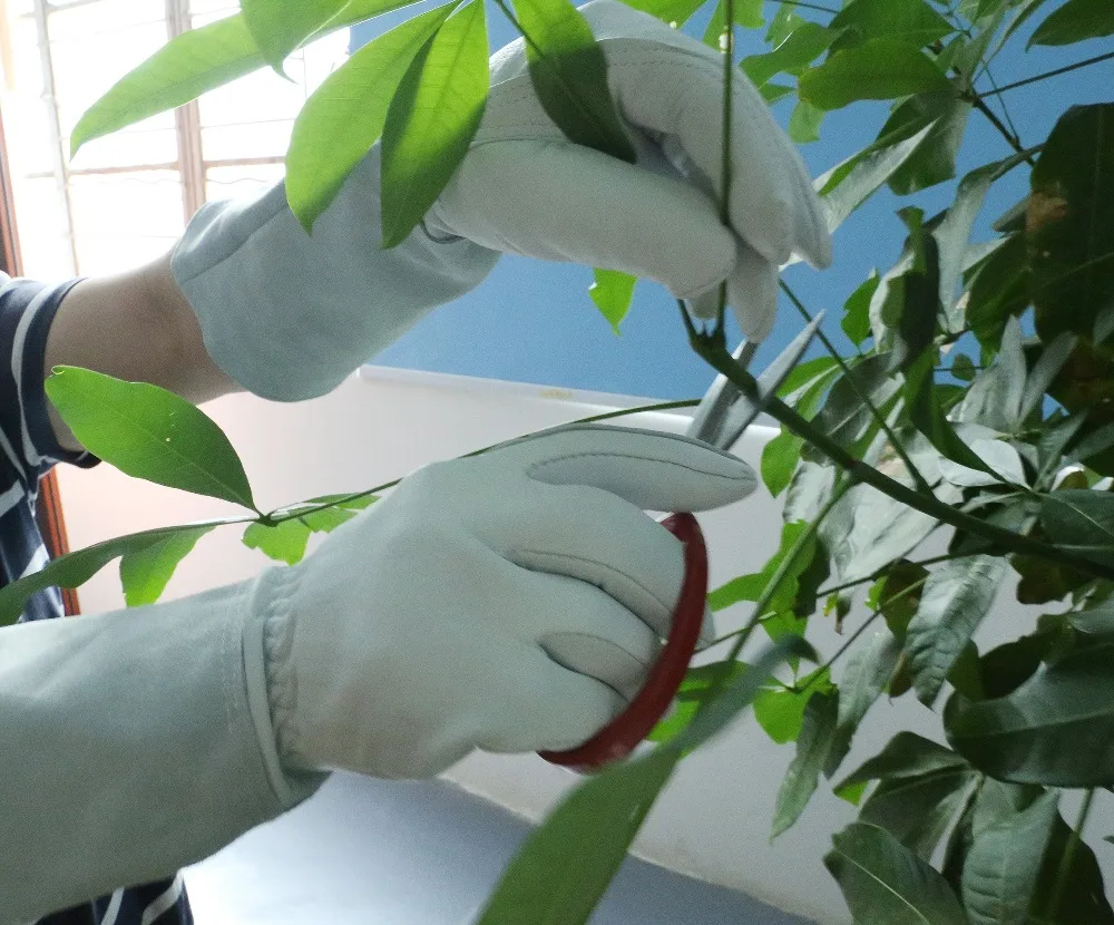 Guantes de soldadura de cuero resistentes al calor/fuego, perfectos para jardinería/soldadura Tig/apicultura/barbacoa