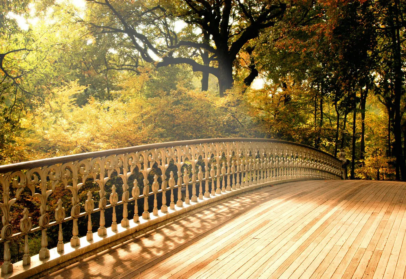 

Bridge Autumn Forest Trees photography studio background High quality Computer print wedding backdrop