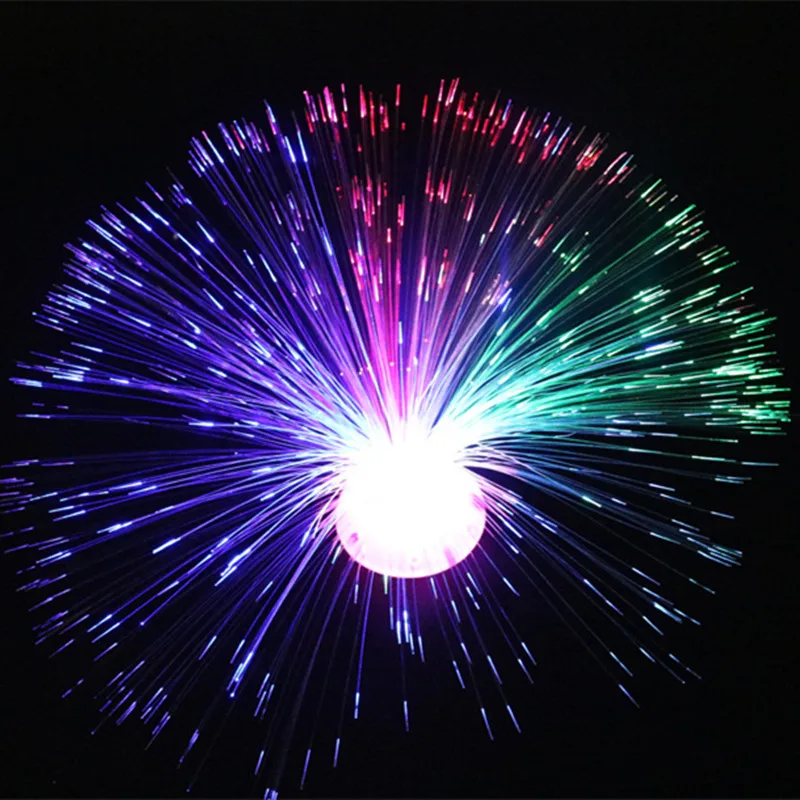 3840527325_494882707_