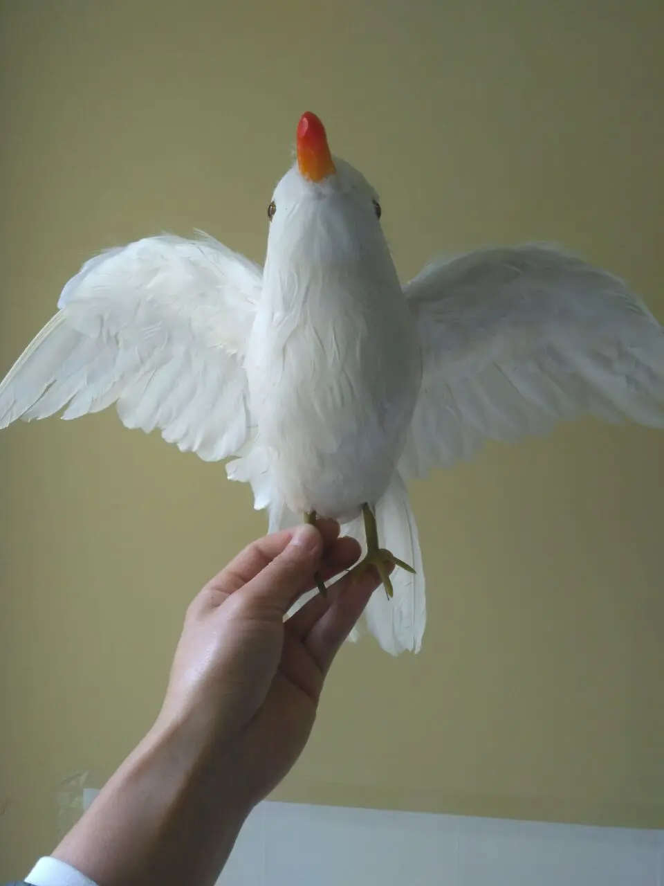 25