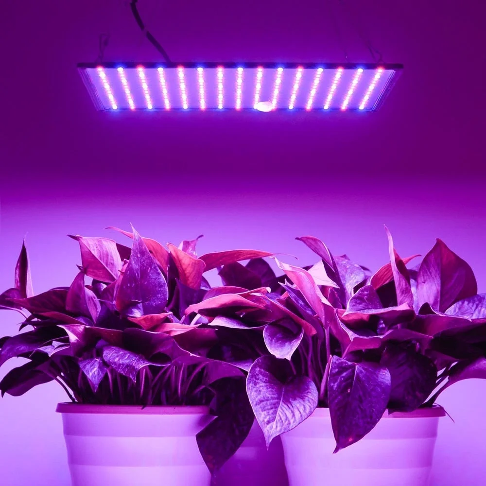  Grow Tent 1000W LED Grow Light Lamp For Plants Full Spectrum Phyto Lamp Fitolampy Energy Saving Ind - 33048687771
