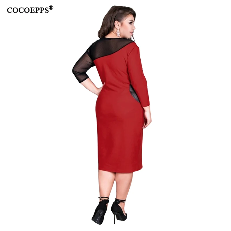 COCOEPPS  4