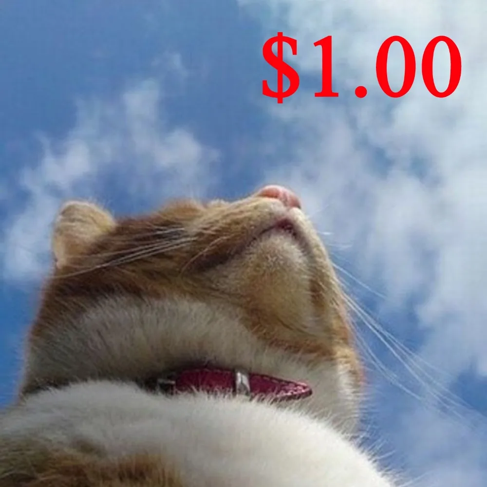 

Extra Fee To Make Up Price Difference, This Is Not A Product Or Service!