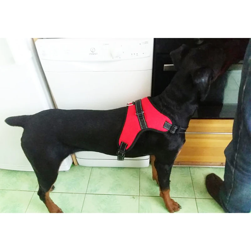 Harnesses-09-18