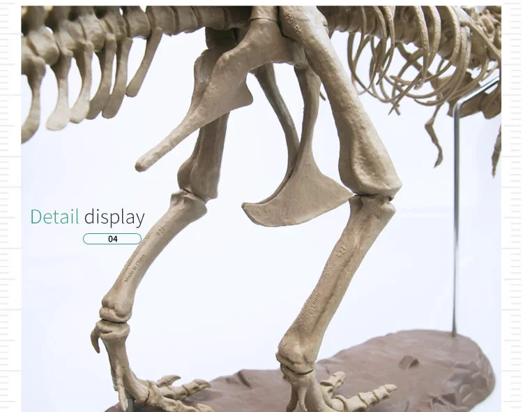 Динозавр Юрского периода Fossil образец сплайсинга сборки скелет модель игрушки тема вечерние украшения для дома дети когнитивные Обучающие принадлежности