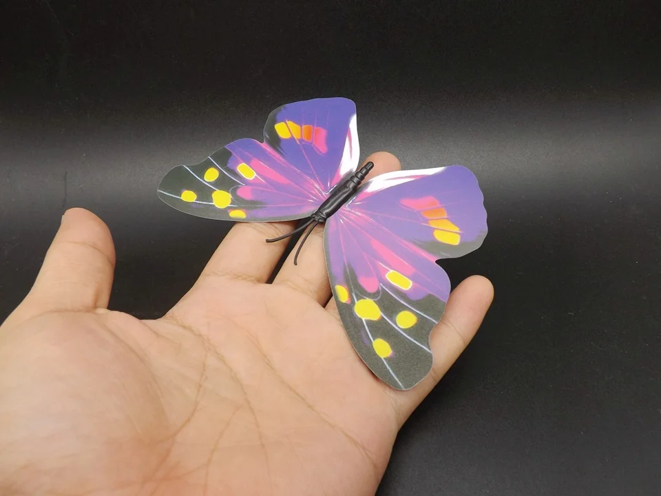 I193-Butterfly (1)