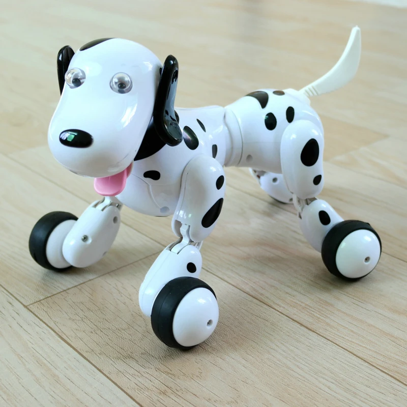 Top 10 Remote Dog Toy Reviews, Features And Buying Guide Paws Dynasty