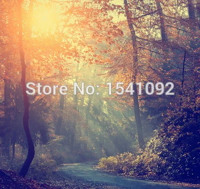 

10x10ft Customize free shipping Thin vinyl cloth photography backdrop scenery computer Printing background for photo studio f172
