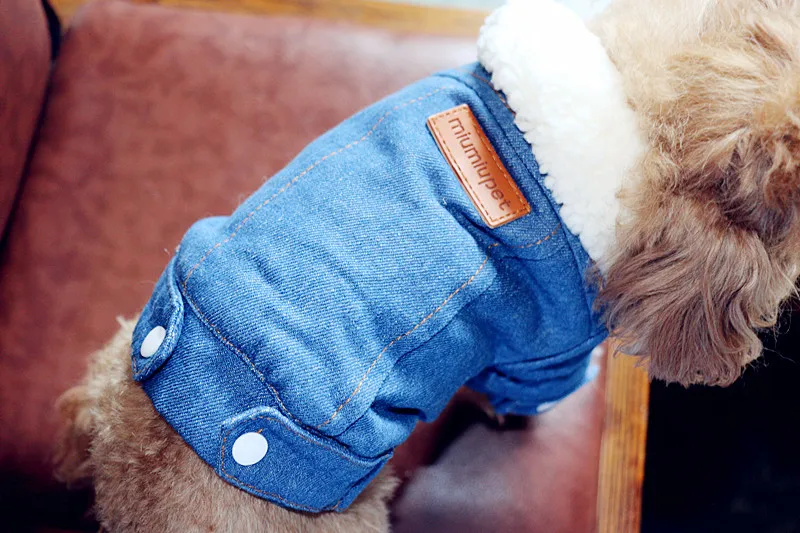 Mycyk зимняя куртка для собак Щенок Одежда для собак костюм для животных Собака джинсовое пальто джинсы костюм Чихуахуа Пудель домашний питомец породы Бишон Одежда для собак